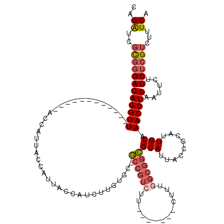 secondary structure