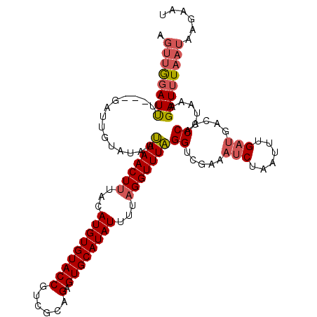 secondary structure