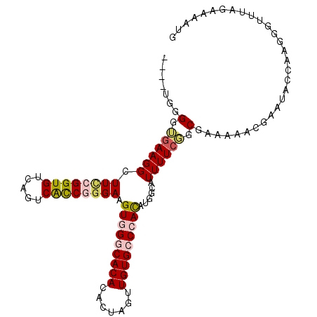 secondary structure