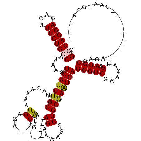 secondary structure