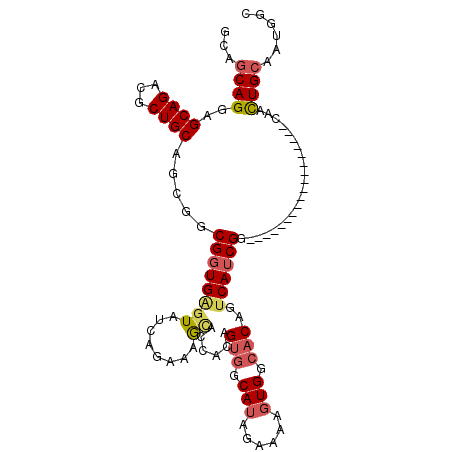 secondary structure