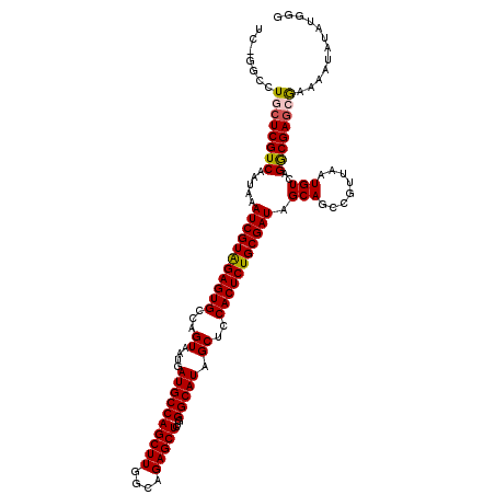 secondary structure