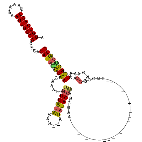 secondary structure