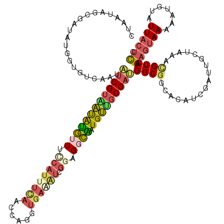secondary structure