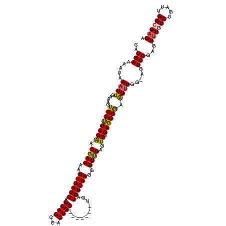 secondary structure