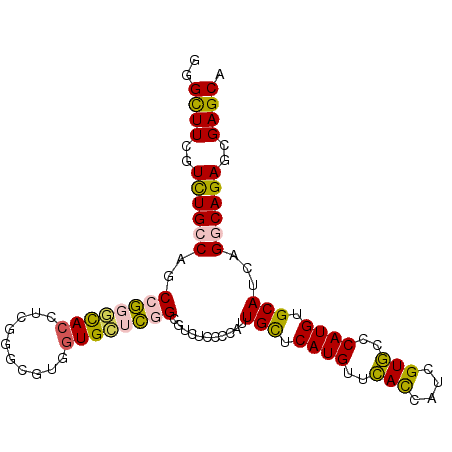 secondary structure