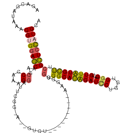 secondary structure