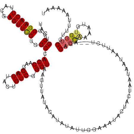 secondary structure