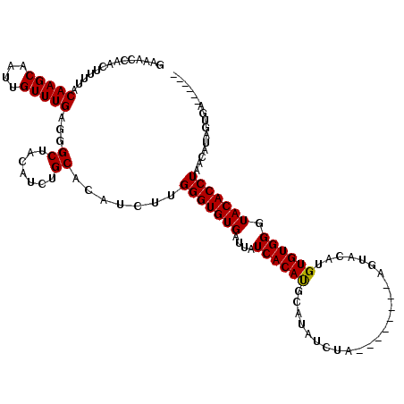 secondary structure