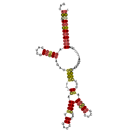 secondary structure