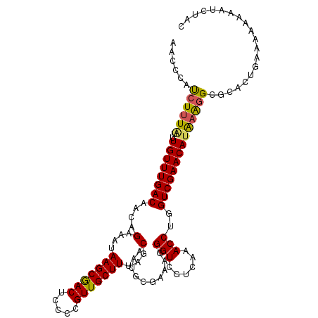 secondary structure