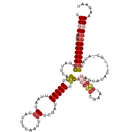 secondary structure