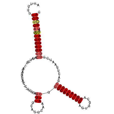 secondary structure
