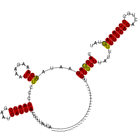 secondary structure