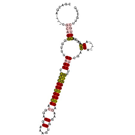 secondary structure