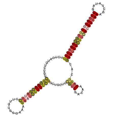 secondary structure