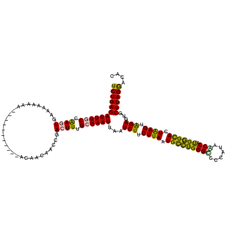 secondary structure