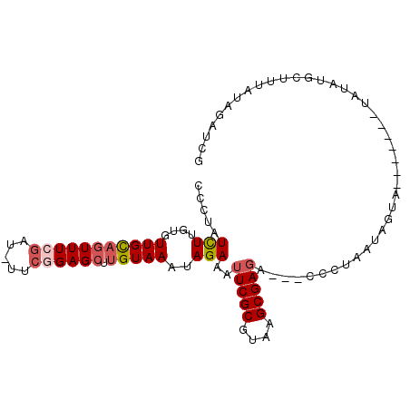 secondary structure