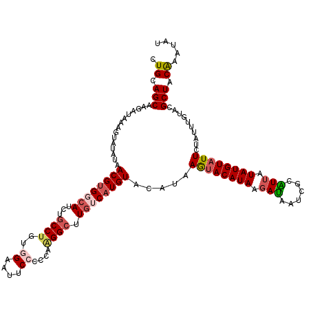 secondary structure