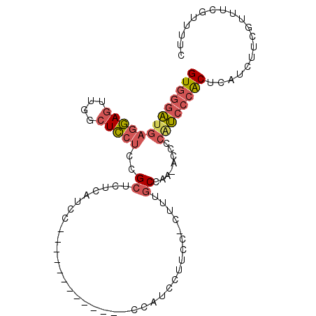 secondary structure