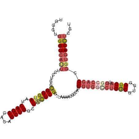 secondary structure
