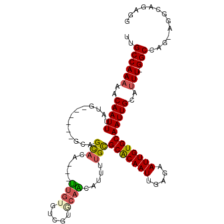 secondary structure