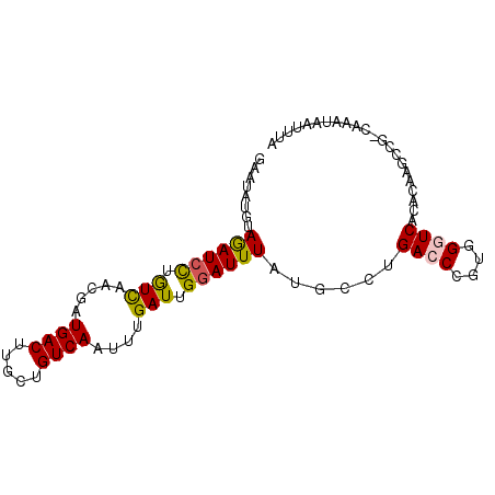 secondary structure