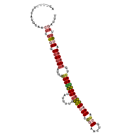 secondary structure