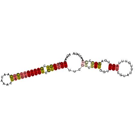 secondary structure
