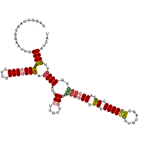 secondary structure