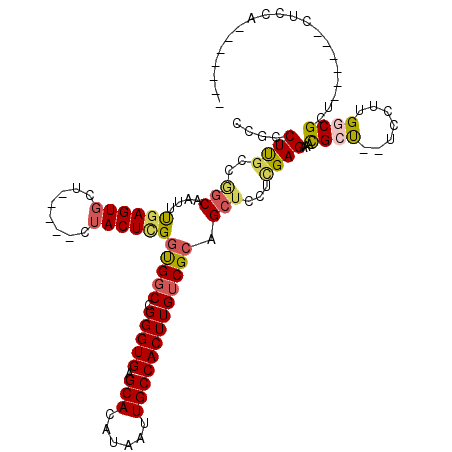 secondary structure