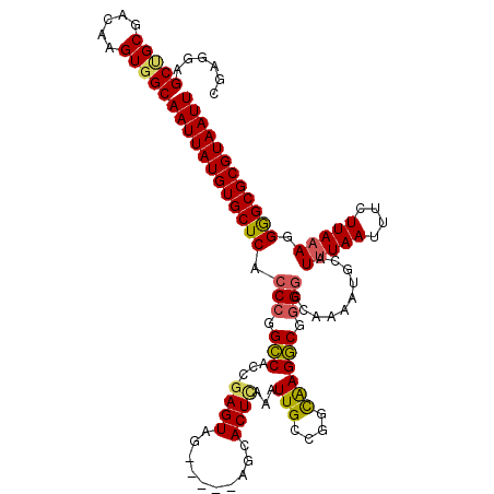 secondary structure