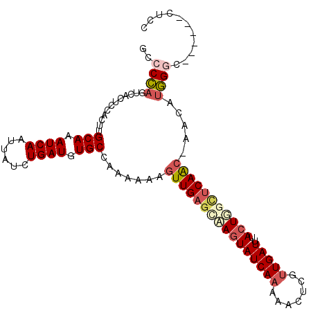 secondary structure