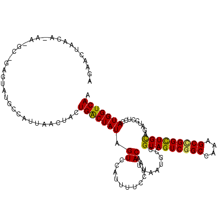 secondary structure