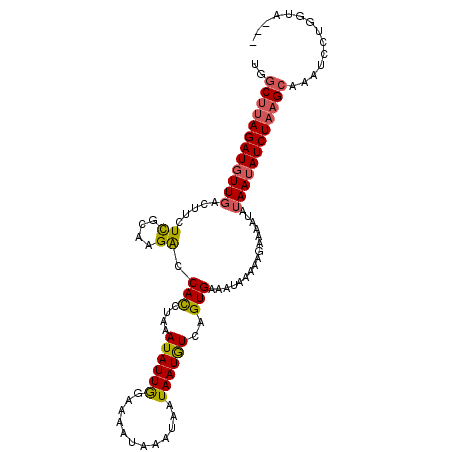 secondary structure