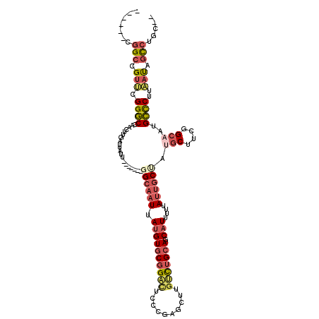 secondary structure