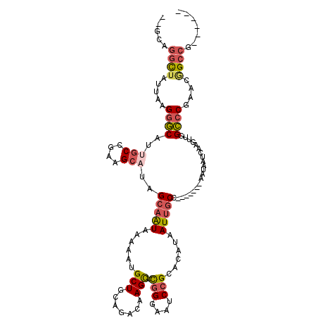 secondary structure