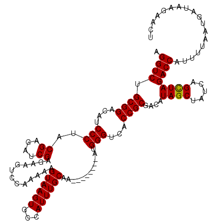 secondary structure