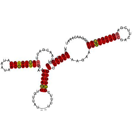 secondary structure