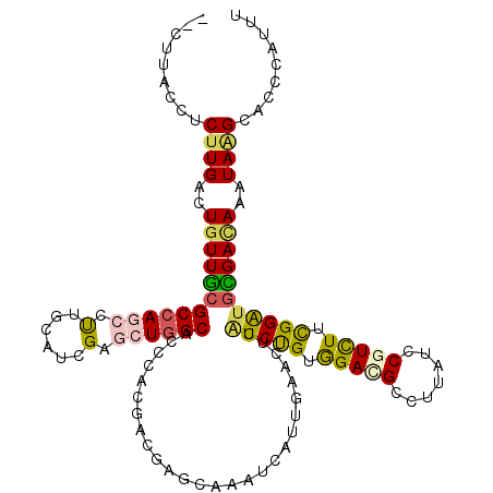 secondary structure