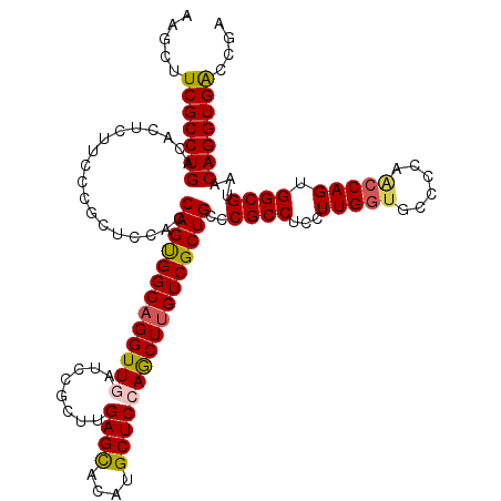 secondary structure