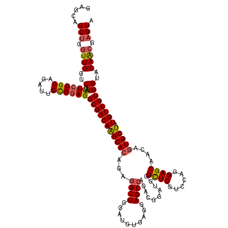 secondary structure