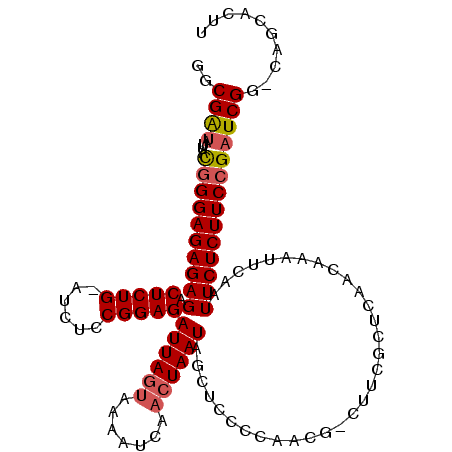 secondary structure