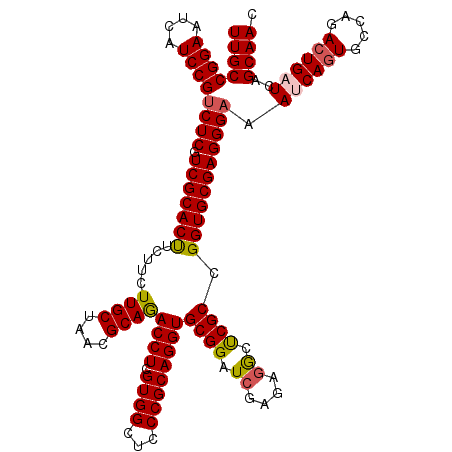 secondary structure