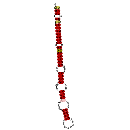 secondary structure