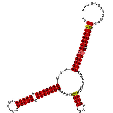 secondary structure