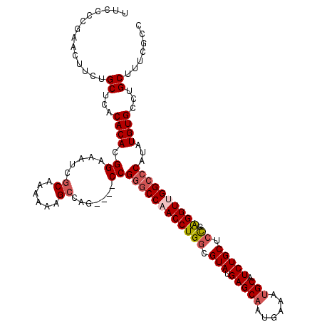 secondary structure