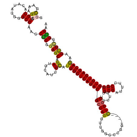 secondary structure