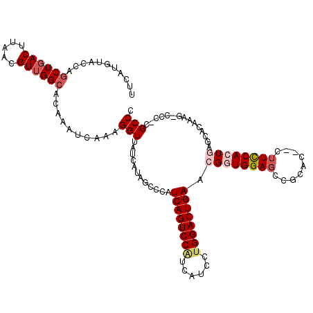 secondary structure