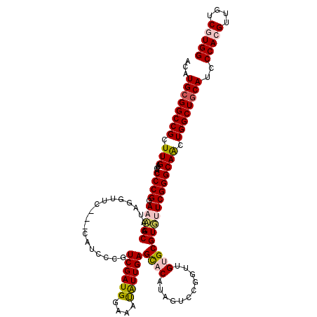 secondary structure